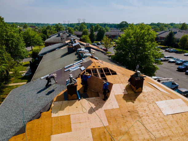 Best Flat Roof Repair Services  in Byron, IL