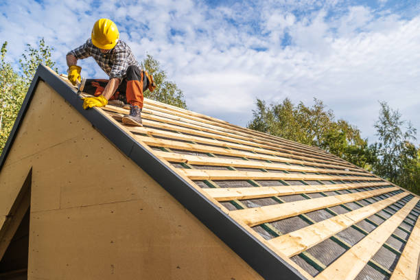 Best Storm Damage Roof Repair  in Byron, IL